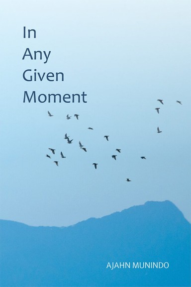 Cover image for Dhamma book In Any  Given Moment