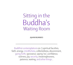 Cover image for Dhamma book Sitting in the Buddha’s Waiting Room