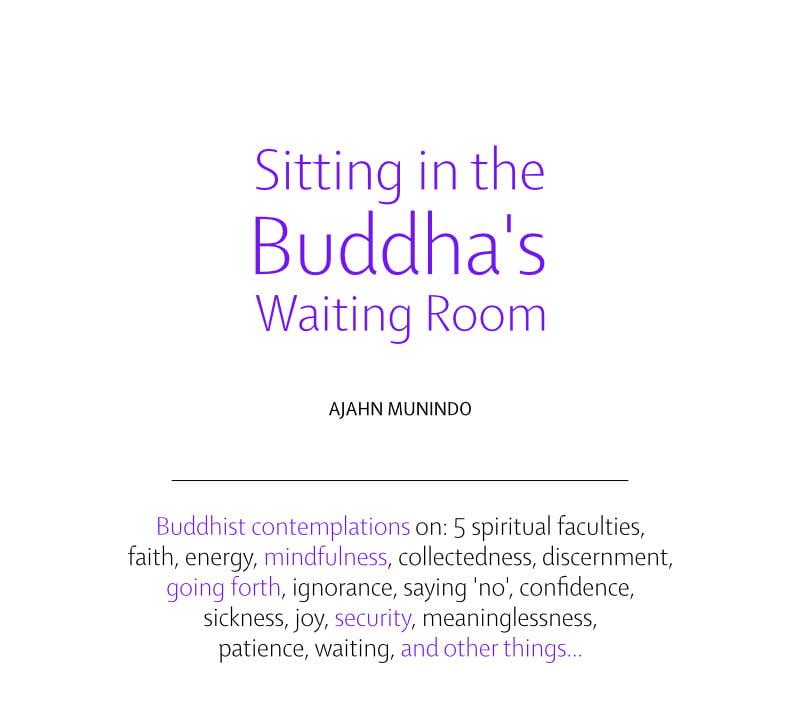 Mobile cover image for Sitting in the Buddha’s Waiting Room