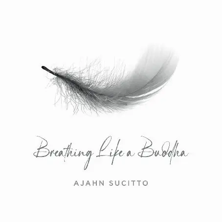 Cover image for Breathing like a Buddha