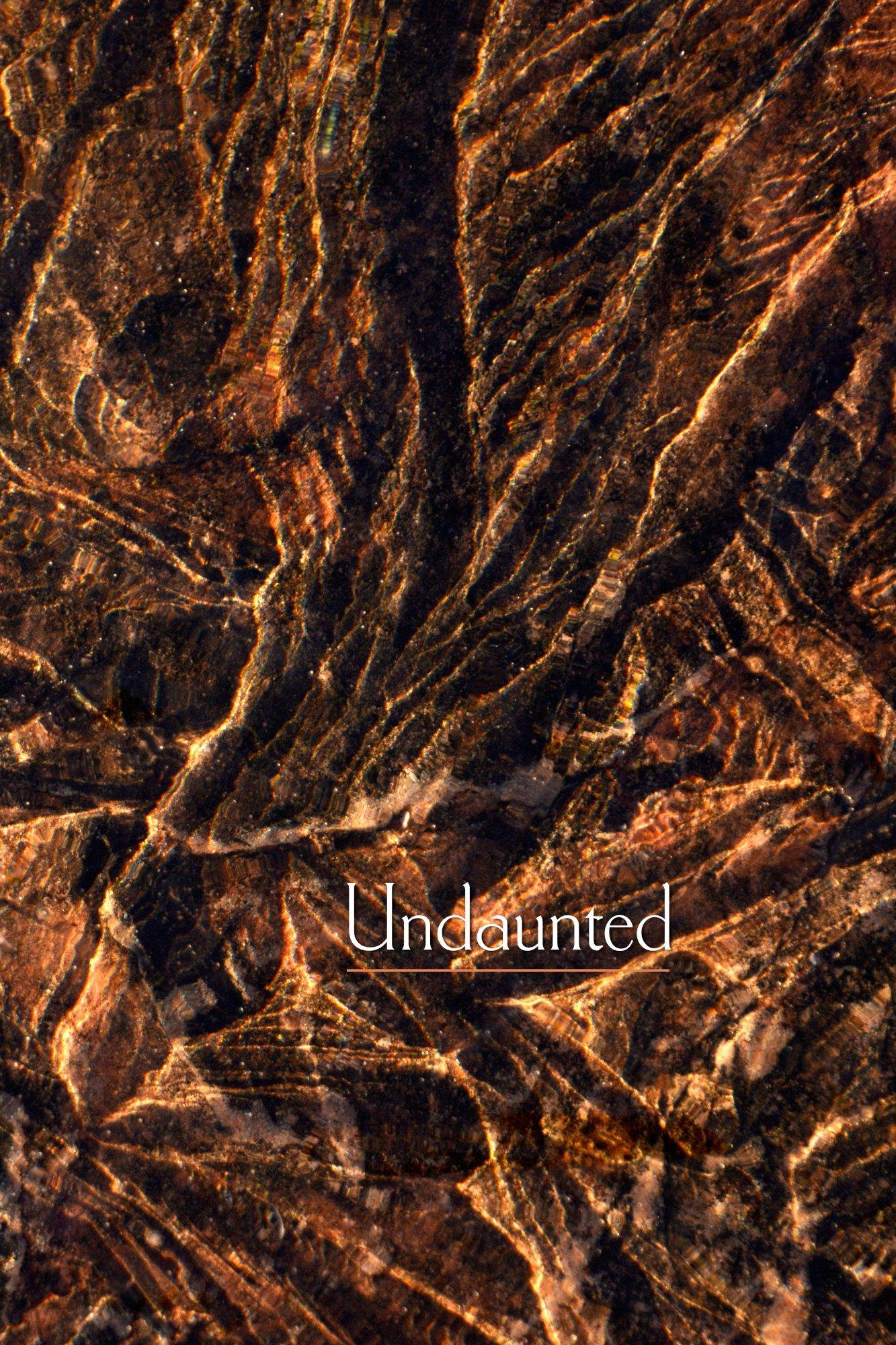 Mobile cover image for Undaunted