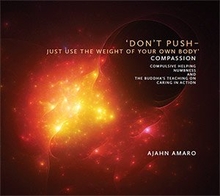 Cover for Don’t Push – Just Use the Weight of Your Own Body