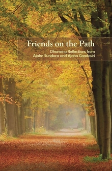 Cover for Friends on the Path