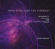 Cover for Who is Pulling the Strings?