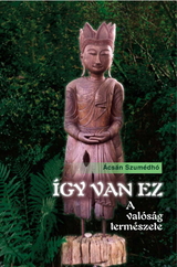 Cover for Igy Van Ez