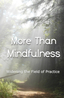 Cover for More Than Mindfulness