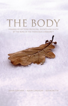 Cover for The Body