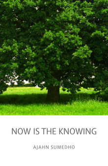 Cover for Now is the Knowing