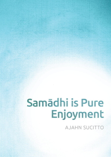 Cover for Samādhi is Pure Enjoyment