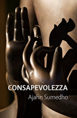 Cover for Consapevolezza: la via oltre la morte.