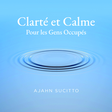 Cover for Clarté et Calme Pour les Gens Occupés