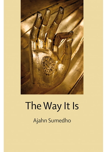 Cover for The way it is